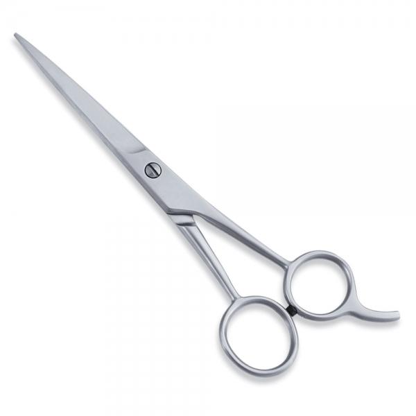 Economy Scissor